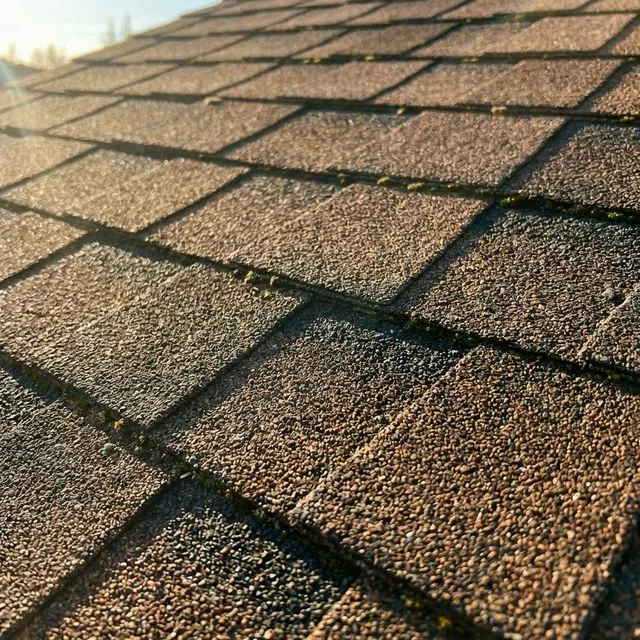 Premium architectural asphalt shingles