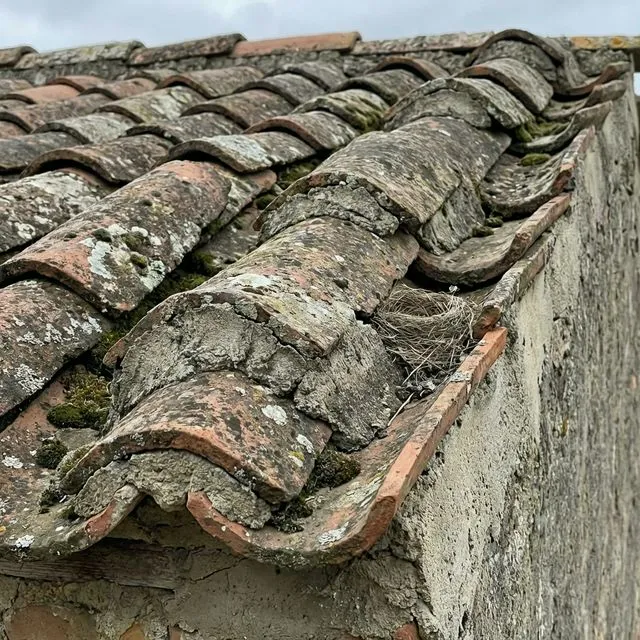 Concrete Tile Installation in Bakersfield, CA